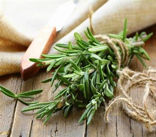 فواید شگفت انگیز چای رزماری فواید شگفت انگیز چای رزماری