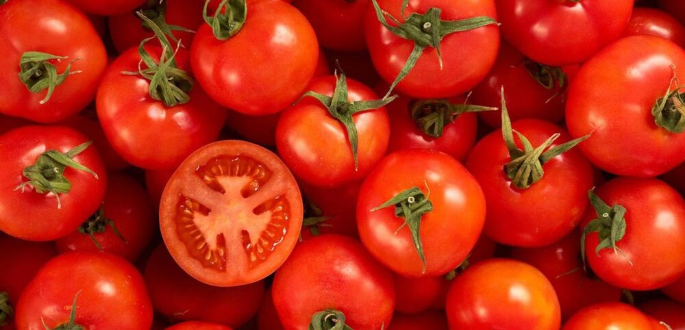 دستهای پنهان گرانی گوجه فرنگی دستهای پنهان گرانی گوجه فرنگی