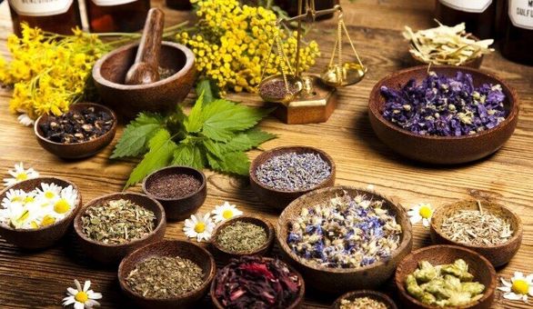 غفلت جدی شرکتهای بیمهای از بازار پرسود داروهای گیاهی غفلت جدی شرکتهای بیمهای از بازار پرسود داروهای گیاهی
