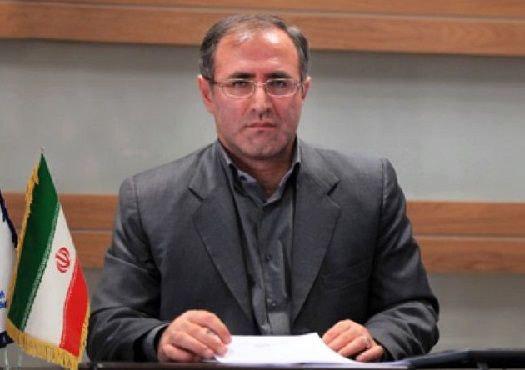 شرکتهای بیمهای انگیزهای برای ورود به بازار گوشهای ندارند شرکتهای بیمهای انگیزهای برای ورود به بازار گوشهای ندارند