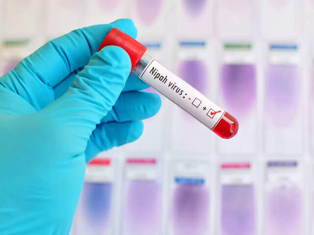 خطر همهگیری یک ویروس خطرناک در آسیا خطر همهگیری یک ویروس خطرناک در آسیا