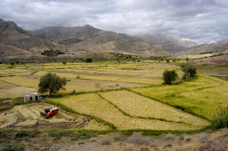 سهمی پررنگ از صندوق توسعه ملی سهمی پررنگ از صندوق توسعه ملی