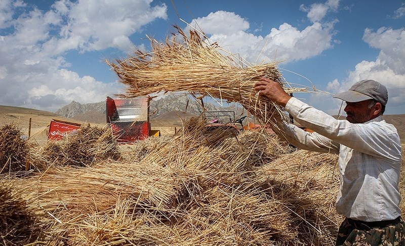 واردات گندم کلید خورد واردات گندم کلید خورد
