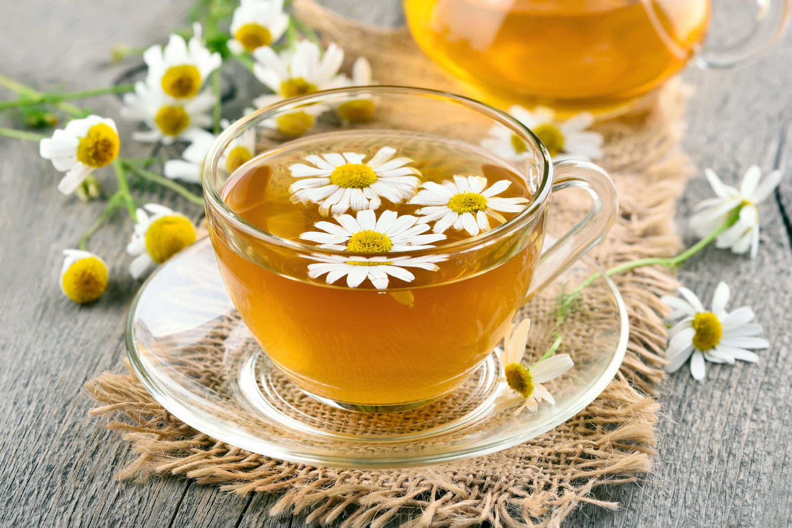 کمخونی و فرمول دمنوشی برای آن! کمخونی و فرمول دمنوشی برای آن!
