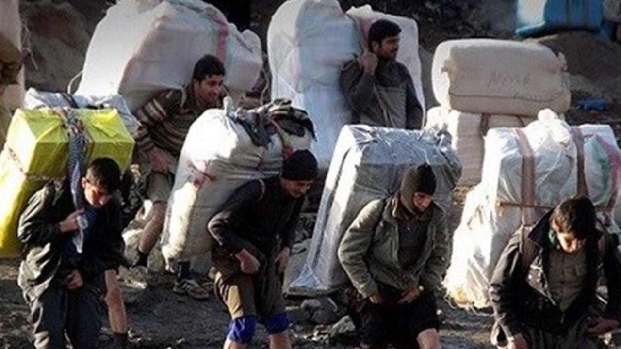 امکان ثبت سفارش واردات کالا توسط کولهبران فراهم شد امکان ثبت سفارش واردات کالا توسط کولهبران فراهم شد