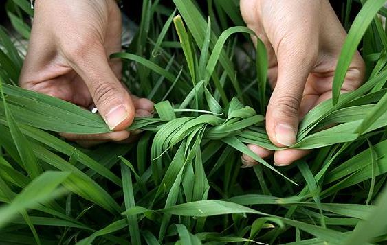 شهروندان تدارکی برای روز طبیعت نداشته باشند شهروندان تدارکی برای روز طبیعت نداشته باشند