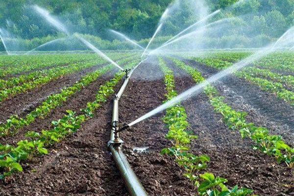 هشدار سازمانهای جهانی در خصوص کمبود مواد غذایی هشدار سازمانهای جهانی در خصوص کمبود مواد غذایی