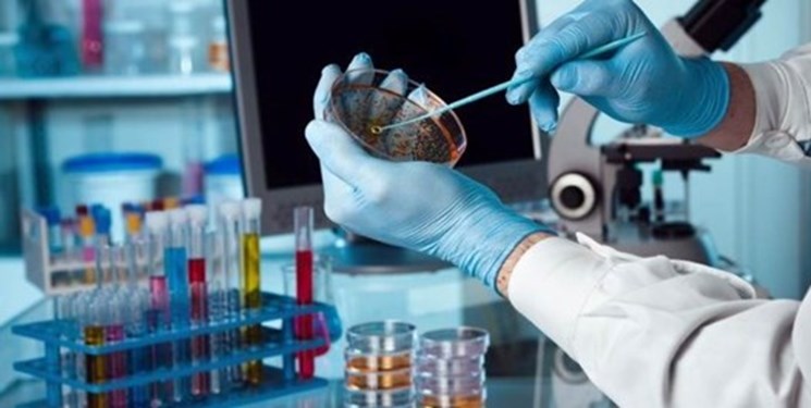 تأخیر ۱۳روزه در اعلام نتایج تست کرونا تأخیر ۱۳روزه در اعلام نتایج تست کرونا