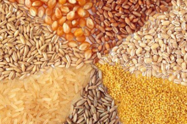 اولتیماتوم وزارت جهاد به توزیعکنندگان نهادههای دامی اولتیماتوم وزارت جهاد به توزیعکنندگان نهادههای دامی