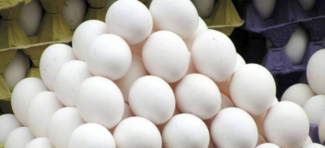 عرضه گسترده تخممرغ در میادین و فروشگاههای زنجیرهای عرضه گسترده تخممرغ در میادین و فروشگاههای زنجیرهای