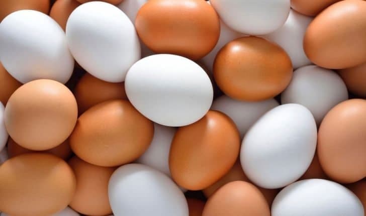 سبقت گرانی تخممرغ از مرغ سبقت گرانی تخممرغ از مرغ