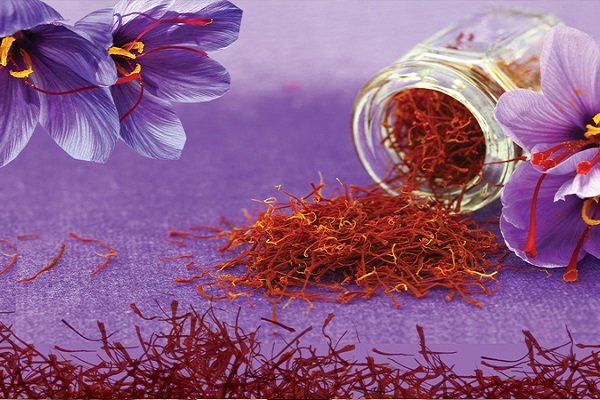 ارزش زعفران ایرانی طی دو سال گذشته ۹۰۰دلار کم شد ارزش زعفران ایرانی طی دو سال گذشته ۹۰۰دلار کم شد