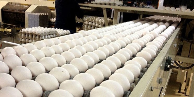 ممنوعیت فروش تخم مرغ فلهای لغو شد ممنوعیت فروش تخم مرغ فلهای لغو شد