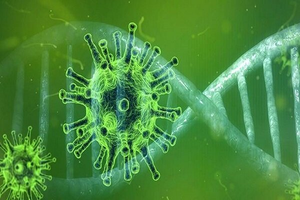 ارتباط بیماری کووید ۱۹ با کوتاه شدن تلومرها ارتباط بیماری کووید ۱۹ با کوتاه شدن تلومرها