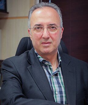 برگشت بخشی از پل گیشا به عنوان پل سبز زندگی برگشت بخشی از پل گیشا به عنوان پل سبز زندگی