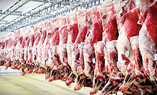اختلاف چشمگیر قیمت گوشت از دامداری تا فروشگاه اختلاف چشمگیر قیمت گوشت از دامداری تا فروشگاه