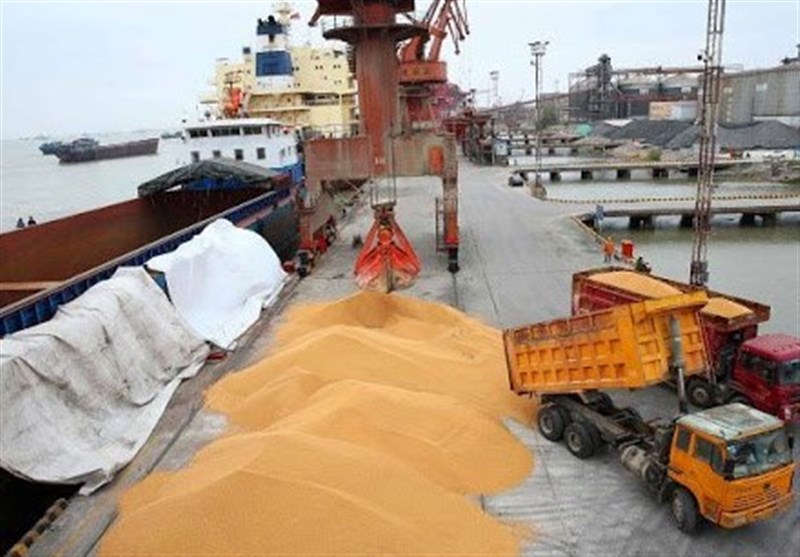 بخشش بیش اظهاری ۵درصدی واردات کالاهای اساسی بخشش بیش اظهاری ۵درصدی واردات کالاهای اساسی
