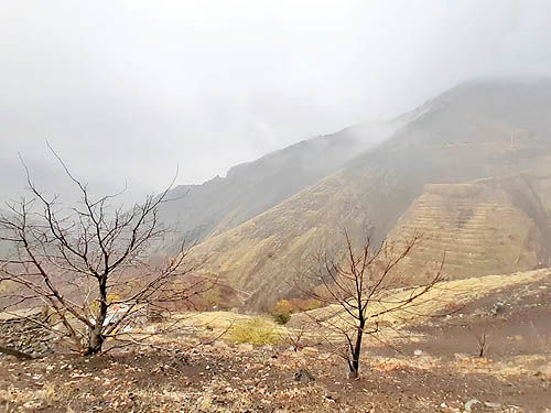 روستاگردی در تهران با چه مانعی روبهرو است؟ روستاگردی در تهران با چه مانعی روبهرو است؟
