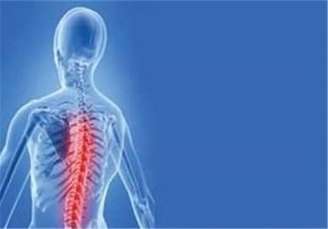 تغییر سبک زندگی باعث بروز ناهنجاریهای بدنی زیادی شده است تغییر سبک زندگی باعث بروز ناهنجاریهای بدنی زیادی شده است