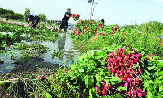 تکلیف دو هزار میلیارد تومانی بانک مرکزی برای برقدار کردن چاههای کشاورزی تکلیف دو هزار میلیارد تومانی بانک مرکزی برای برقدار کردن چاههای کشاورزی