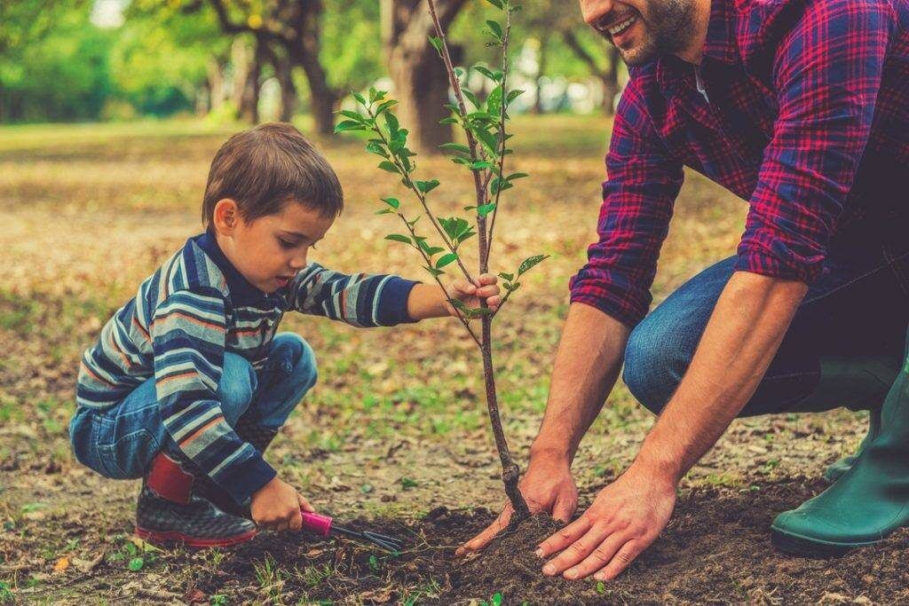 چطور می شود کودکان را با طبیعت دوست کرد؟ چطور می شود کودکان را با طبیعت دوست کرد؟