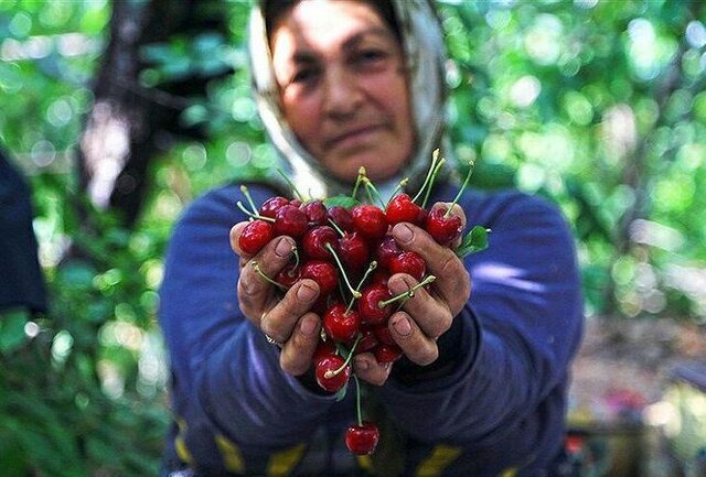 کدام کارگران کمترین مزد روزانه را میگیرند؟ کدام کارگران کمترین مزد روزانه را میگیرند؟