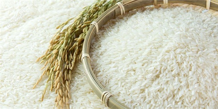 ارز دولتی واردات برنج حذف شد ارز دولتی واردات برنج حذف شد