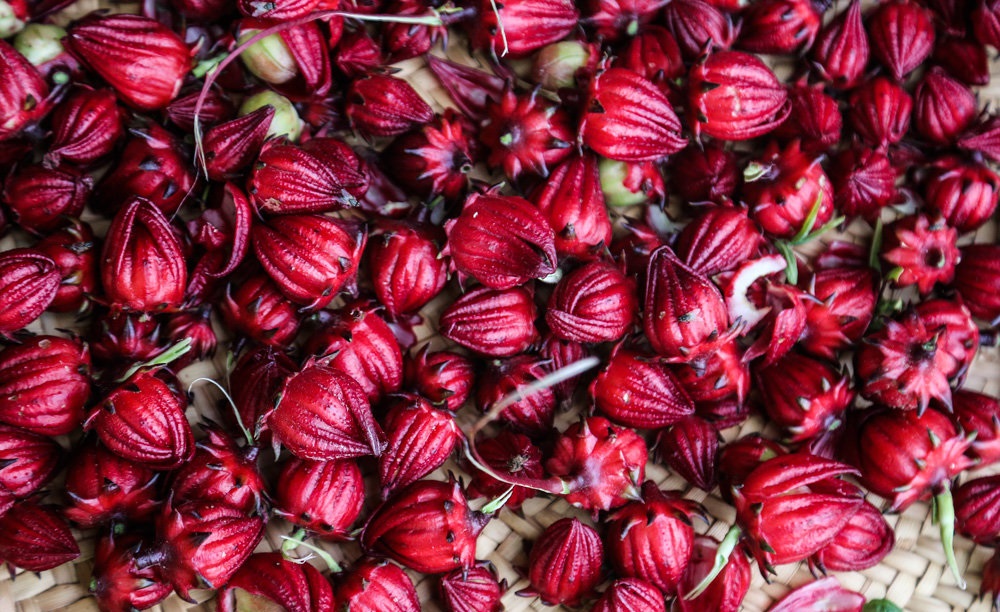 چای تُرش قاتل فشار خون بالا چای تُرش قاتل فشار خون بالا