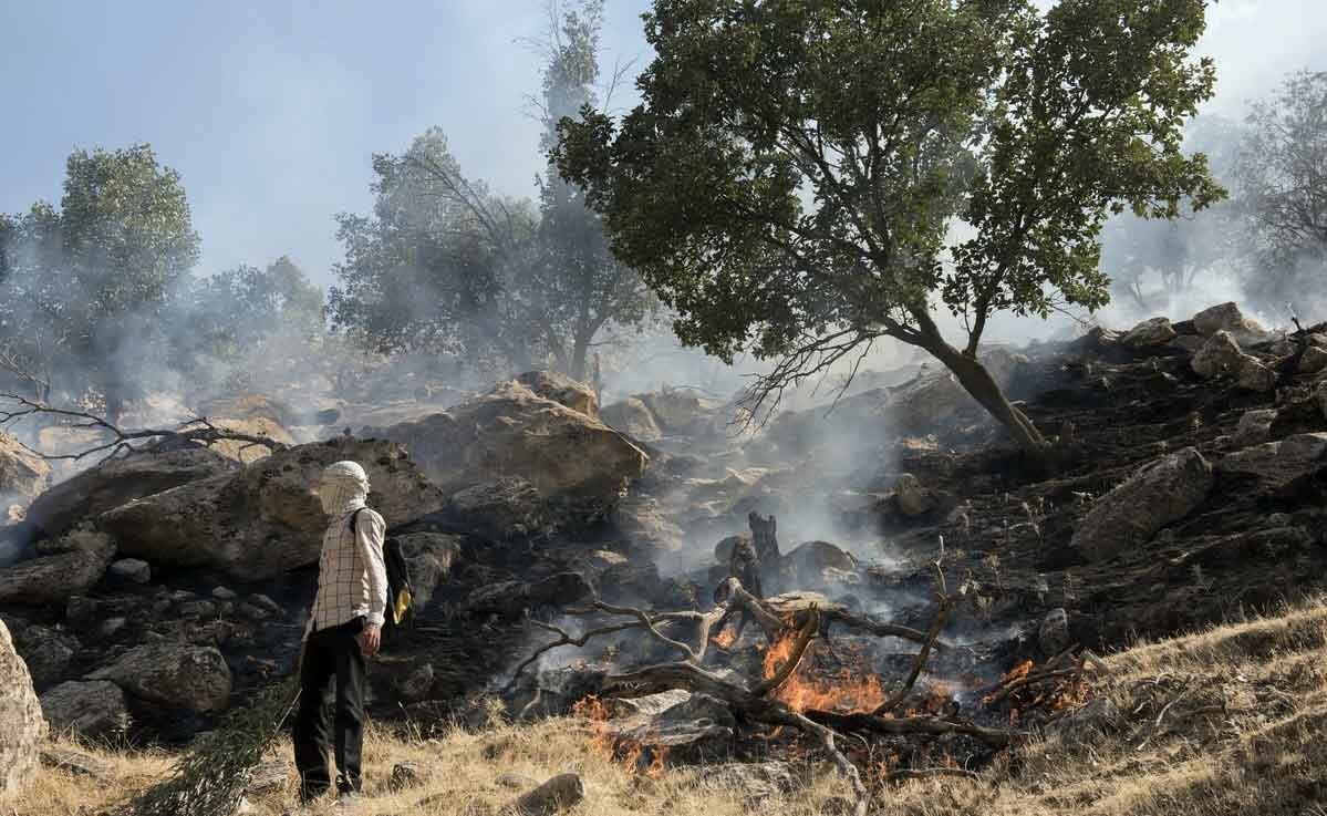 درخواست 10سال حبس برای عاملان آتشسوزی جنگلها و مراتع درخواست 10سال حبس برای عاملان آتشسوزی جنگلها و مراتع