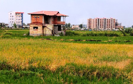 تعرض به ۳۴هزار هکتار از اراضی کشور طی ۱۰سال تعرض به ۳۴هزار هکتار از اراضی کشور طی ۱۰سال