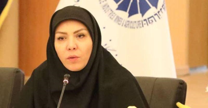 افزایش 3.3میلیارد دلاری سهم صندوق ضمانت در صادرات افزایش 3.3میلیارد دلاری سهم صندوق ضمانت در صادرات