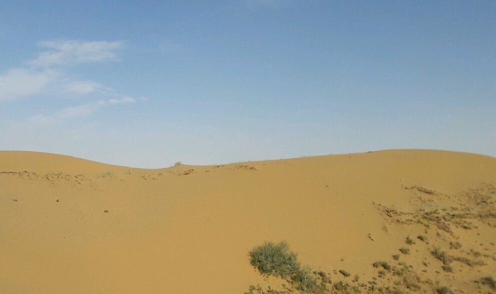 بیابانشدن استان گلستان جدی است بیابانشدن استان گلستان جدی است