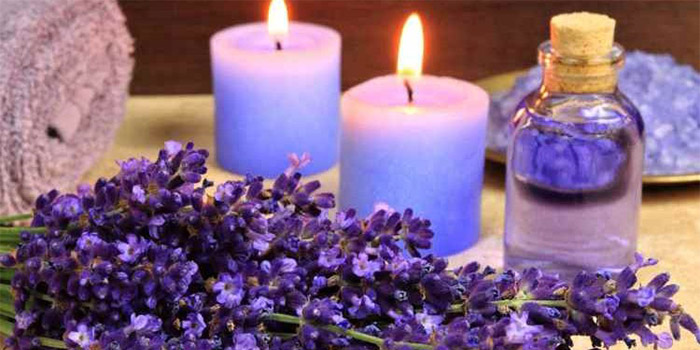 اسطوخودوس گیاهی معجزهگر اسطوخودوس گیاهی معجزهگر