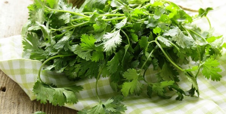 عمو سبزی فروش محله شوید! عمو سبزی فروش محله شوید!