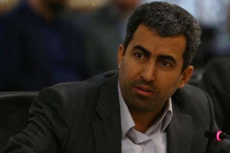 پور ابراهیمی: تنها۵٠درصد برنامه خصوصی‌سازی اجرا شد