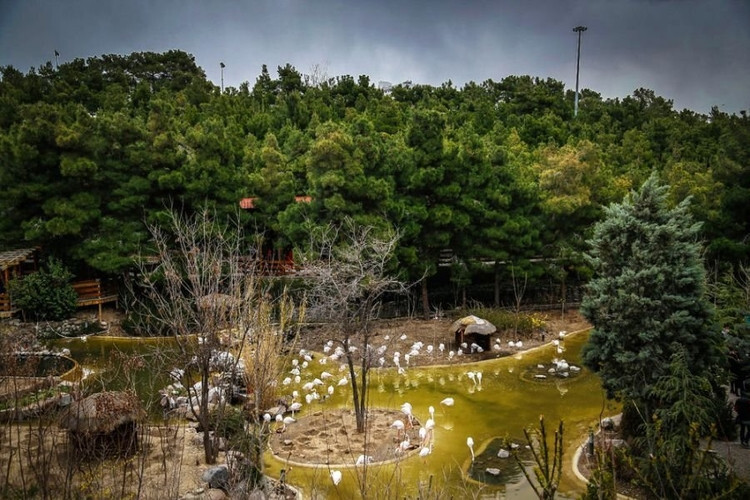 وضعیت بوستان‌های تهران در روزهای کرونایی +فیلم