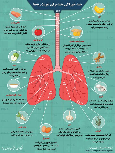 چند خوراکی مفید برای تقویت ریهها چند خوراکی مفید برای تقویت ریهها