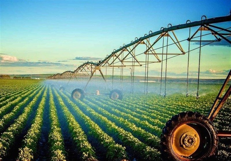 شرایط موجود بیمهای برای شهرکهای کشاورزی مناسب نیست شرایط موجود بیمهای برای شهرکهای کشاورزی مناسب نیست