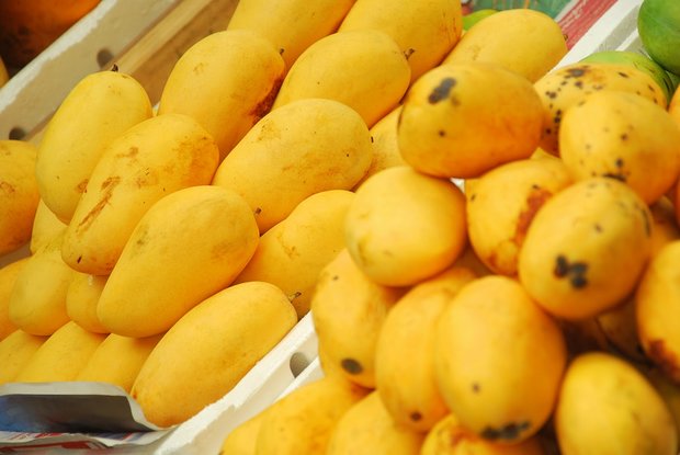 کاهش قیمت انبه، موز و لیموترش در میادین میوه و ترهبار کاهش قیمت انبه، موز و لیموترش در میادین میوه و ترهبار