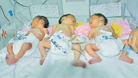 واریز کمک ۴۰۰هزار تومانی برای ۳قلوها واریز کمک ۴۰۰هزار تومانی برای ۳قلوها
