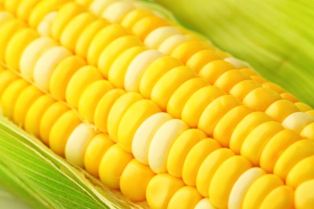 ۶خوراکی مناسب برای تابستان ۶خوراکی مناسب برای تابستان