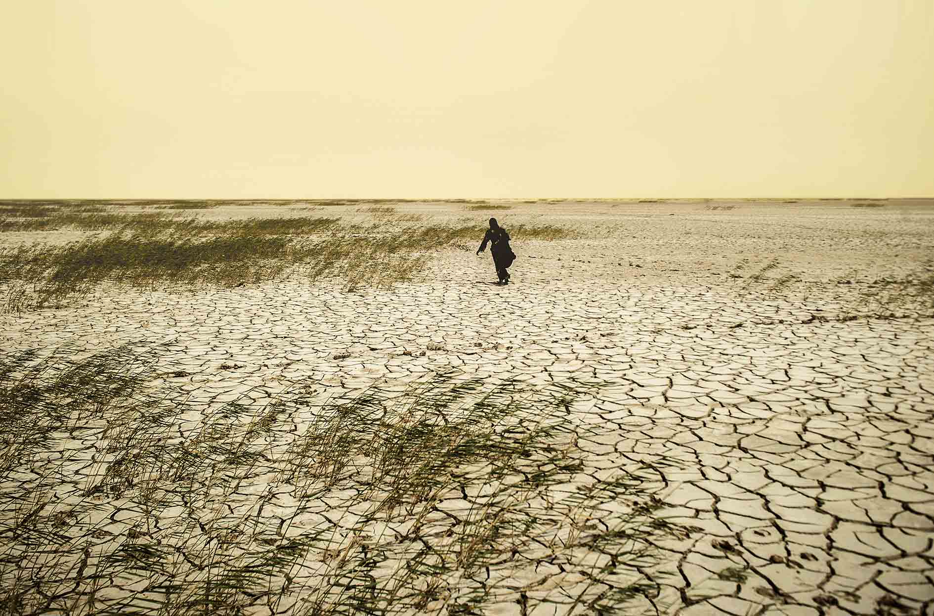 ایران ۳۲سال دیگر بیابان می‌شود