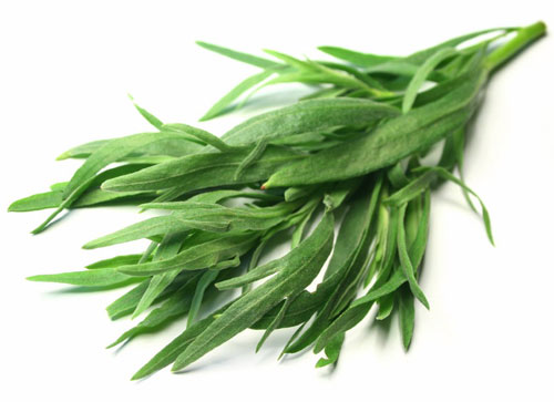 به جای نمک از این سبزی استفاده کنید! به جای نمک از این سبزی استفاده کنید!