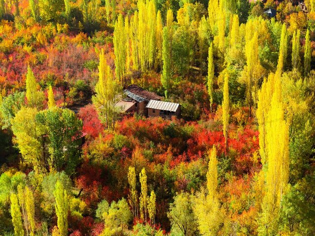 توصیههای طب سنتی در پاییز توصیههای طب سنتی در پاییز