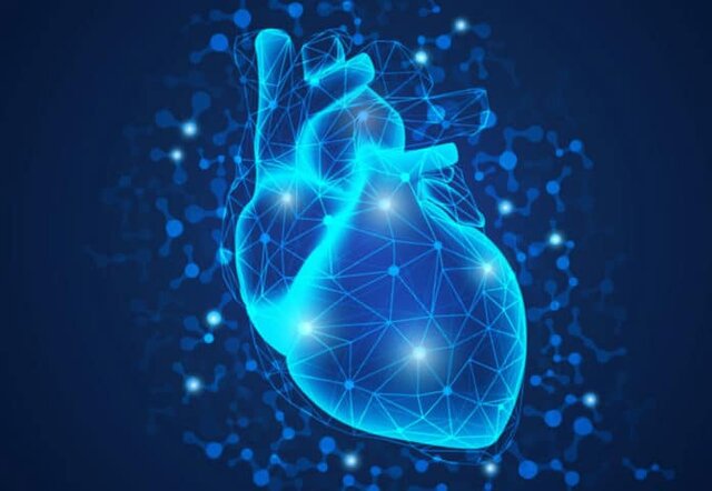 با دیدن این قلب شگفت زده میشوید +عکس با دیدن این قلب شگفت زده میشوید +عکس