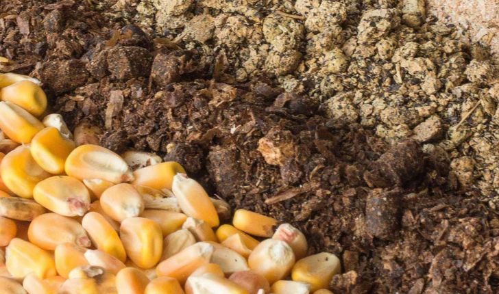 تأمین نهاده مورد نیاز واحدهای تولیدی تا آبانماه تأمین نهاده مورد نیاز واحدهای تولیدی تا آبانماه
