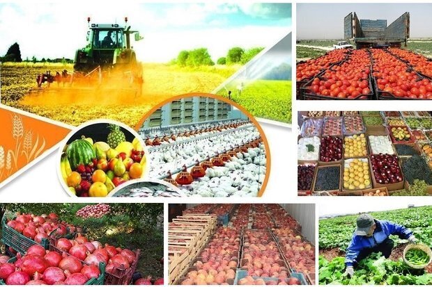 سند امنیت غذایی کشور تدوین میشود سند امنیت غذایی کشور تدوین میشود