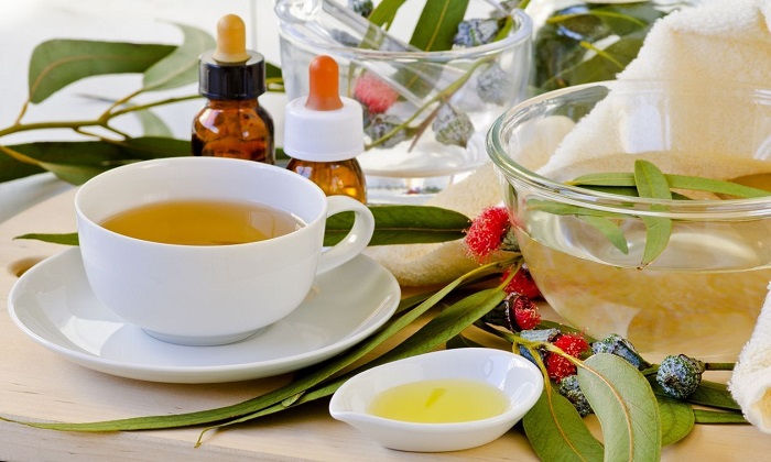 زندگی به سبک پاییز زندگی به سبک پاییز