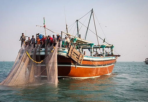 ممنوعیت هر گونه صید ترال به مدت ۲سال ممنوعیت هر گونه صید ترال به مدت ۲سال