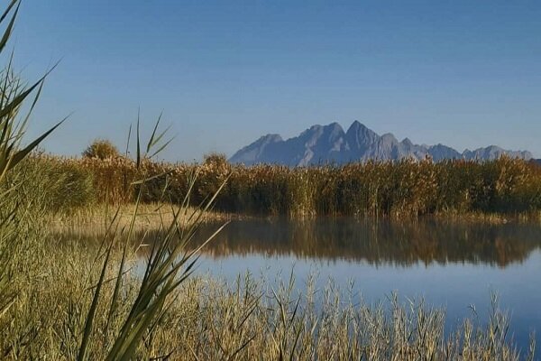 تجربیات جهانی «بازار آب» تجربیات جهانی «بازار آب»